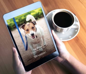 Люди с iPad и просматривающие электронную книгу HSUS «Советы для домашних животных»