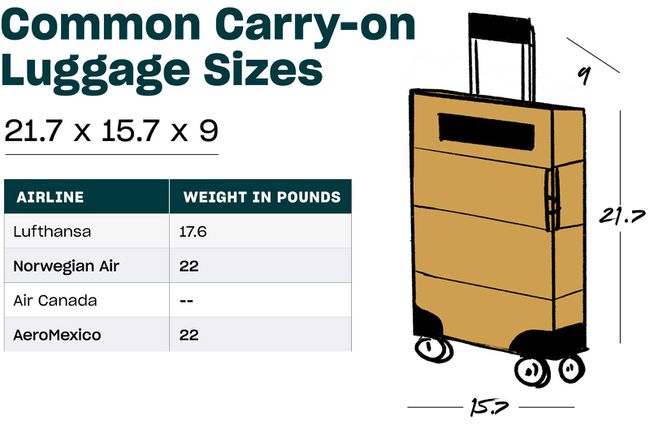 Представляем размер общего перевозчика багажа в таблице