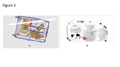 Рисунок 3: Сумка, отсканированная системой трехмерной визуализации для CBS. а) Повернутое 3D-изображение. б) Изображение в поперечном сечении. Красный цвет указывает, где в сумке может быть взрывчатка. CASRA 3D Training Simulator for CBS -- X-Ray Trainer Version 4 XRT4 изображение.